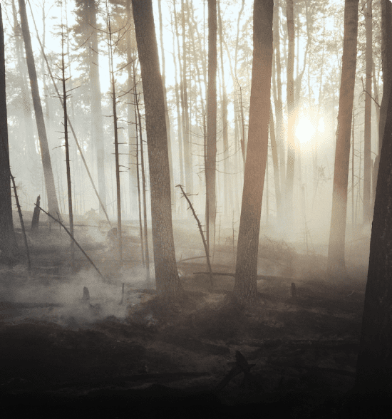 A photo of a natural disaster